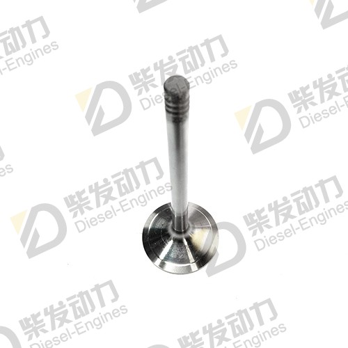 Inlet Valve 04283708